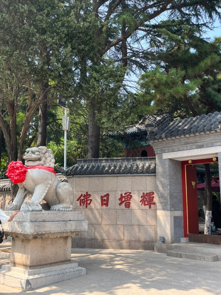 칭다오 여행 가볼만한곳 : 도심 속 잔산사(湛山寺) 입장료 2천원 & 무....