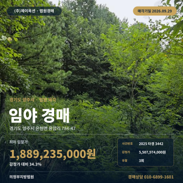 양주시 은현면 용암리 임야경매 예원예술대 인근 2,977평 법원경매 2025타경3442 썸네일