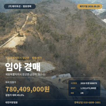세종시 장군면 금암리 산지경매 현황 도로 이용 토지 3015평 2026타경600070 썸네일