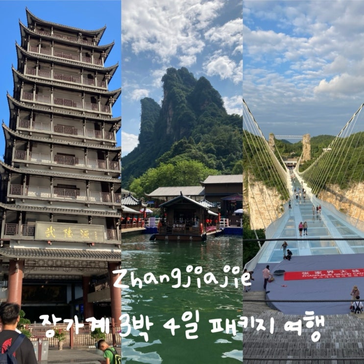 장가계 3박 4일 패키지 여행 2일차, 아빠 환갑여행 [천자산·원가계·....