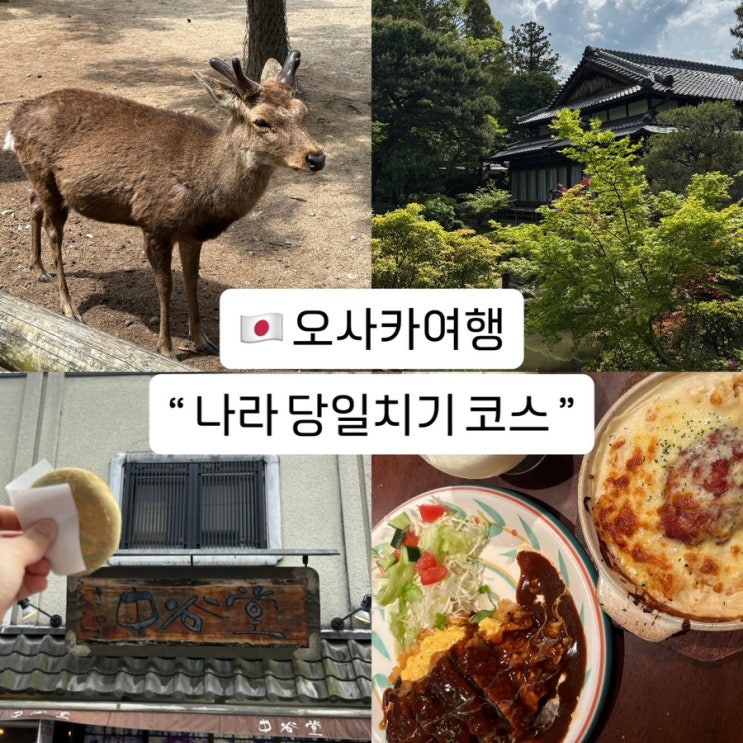 오사카 나라 당일치기 반나절 여행코스 사슴공원 요시키엔 정원