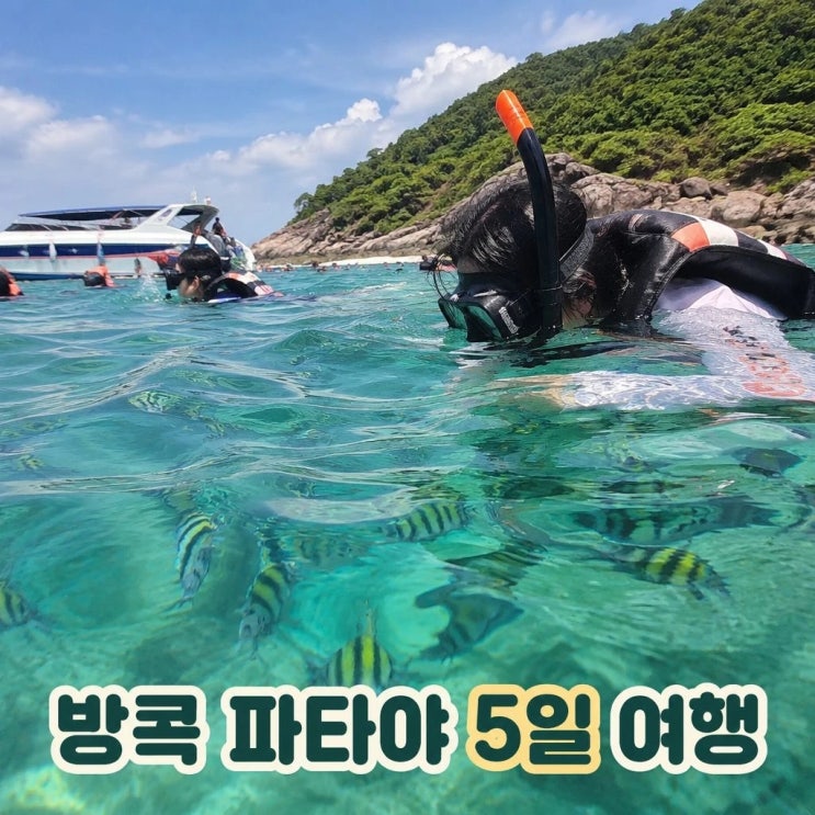 방콕 파타야 5일 패키지 여행 코스 추천ㅣ니모섬, 왓포사원, 욧시암....
