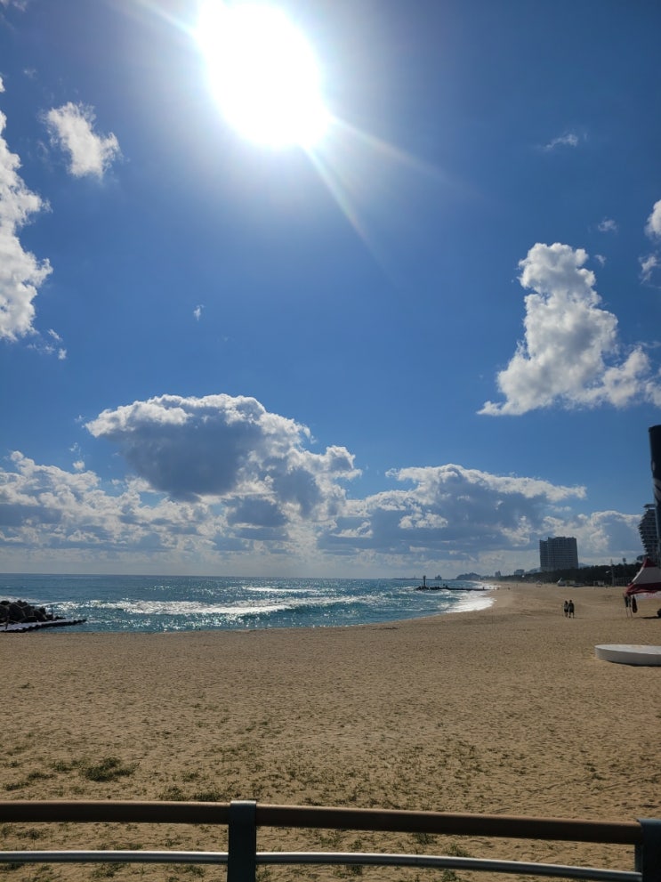 강원도 바다 강문해변 경포해변 산책 : 네이버 블로그