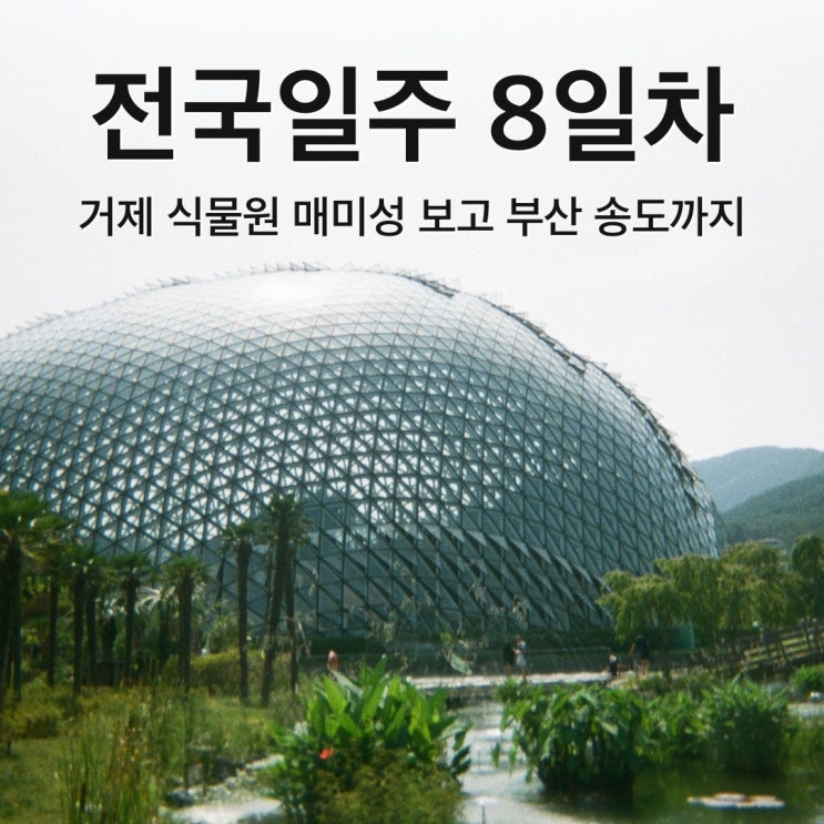 전국일주 8일차 | 거제 식물원·매미성 다녀와 부산 송도까지