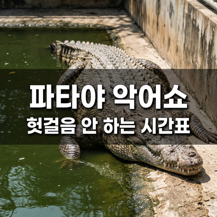 파타야 악어농장 백만년바위공원 입장료와 쇼 시간 정리