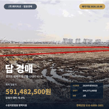 평택논경매 팽성읍 신대리 부동산경매 2026타경50329 썸네일