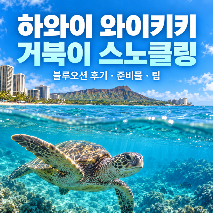 하와이 와이키키 거북이 스노클링 솔직 후기 준비물 및 블루오션 팁