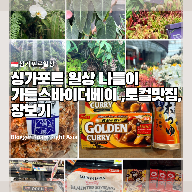 [싱가포르 일상]오랜만에 가든스 바이 더 베이 나들이, 단골 로컬맛....