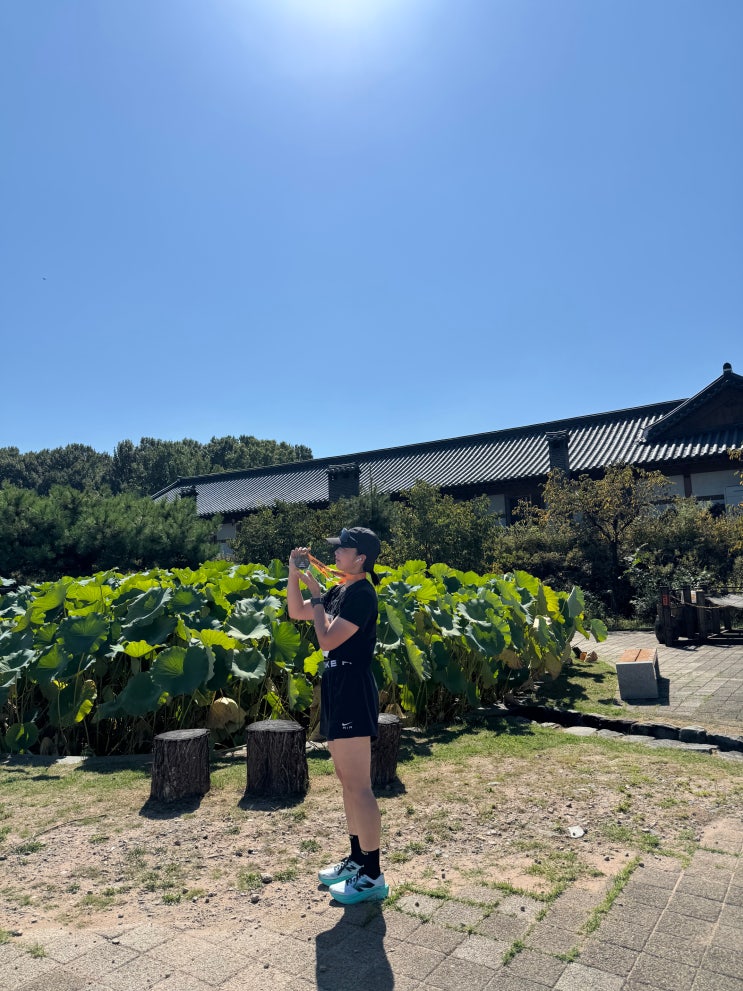 2026 공주마라톤