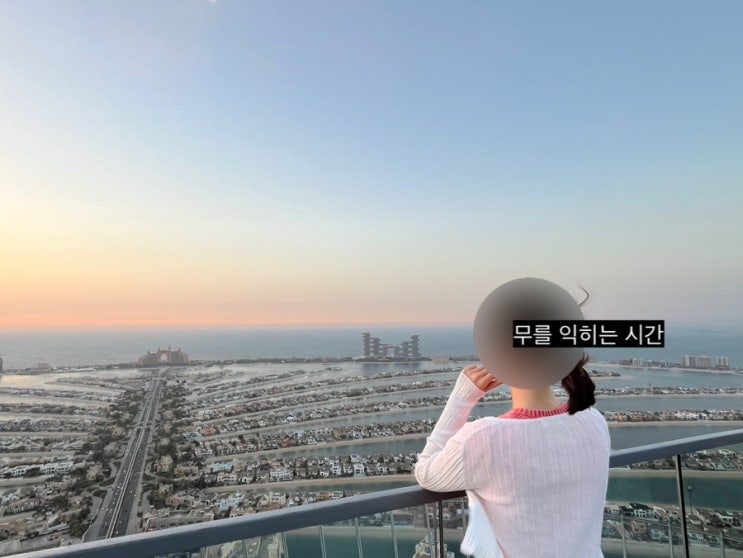 두바이 팜주메이라 대중교통 모노레일 이용하기, 더뷰앳더팜 전망....