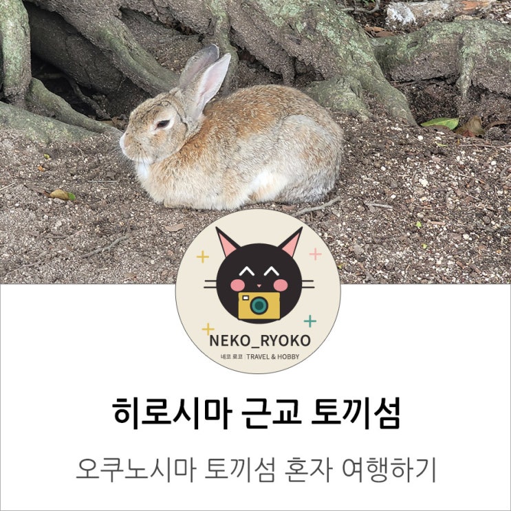 [일본 소도시 여행] 히로시마 근교 토끼섬 오쿠노시마 여행 | 다케하....