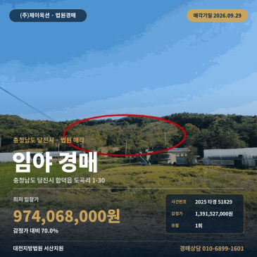 당진시 합덕읍 임야 토지 경매ㅣ대형 면적과 유찰 최저가 기회 2025타경51829 썸네일