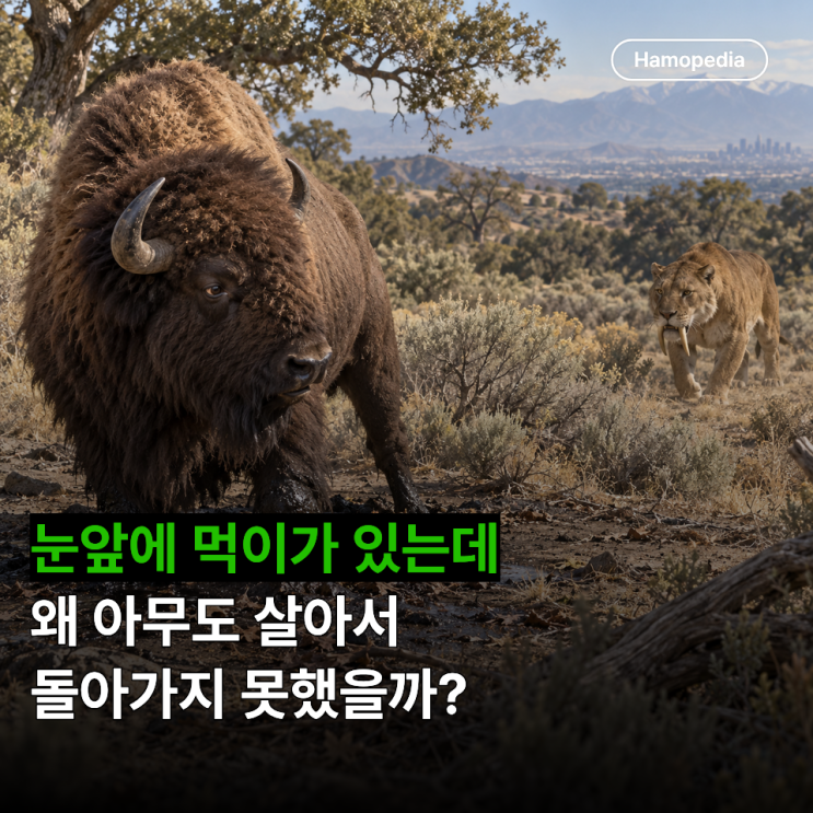 스밀로돈과 다이어울프는 왜 타르에 빠졌을까? 라브레아 포식자 함....