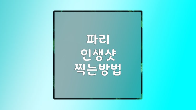 파리 다섯 번 가고서야 알았던, 에펠탑을 여기서 찍어야 하는 이유