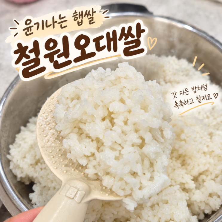 묵은쌀에 지쳐서 조금 일찍 만난 9월 햅쌀, 철원오대쌀 🍚 : 네이버 블로그