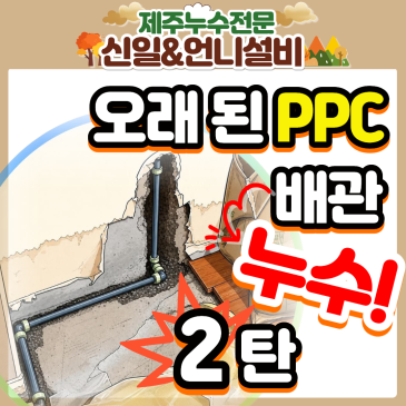 [제주도누수 2탄] 제주시이도이동, 또 터진 배관 결국 전체 교체! 제주누수 보험 처리까지 싹 해결한 제주누수탐지전문 여성누수·여자누수 현장기