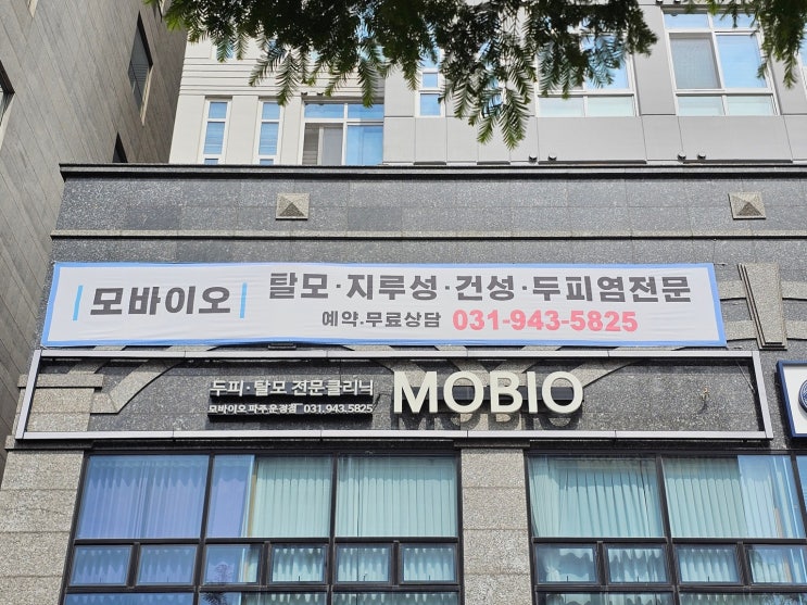 모바이오 파주운정점 운정역탈모관리 후기