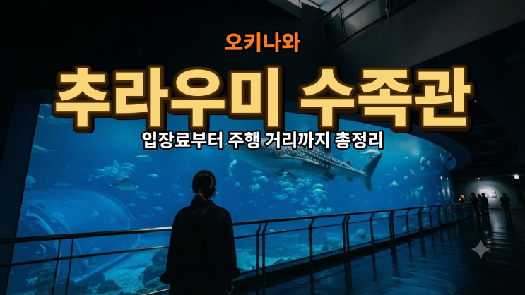 9월 오키나와 여행…추라우미 수족관 입장료부터 주행 거리까지 총....