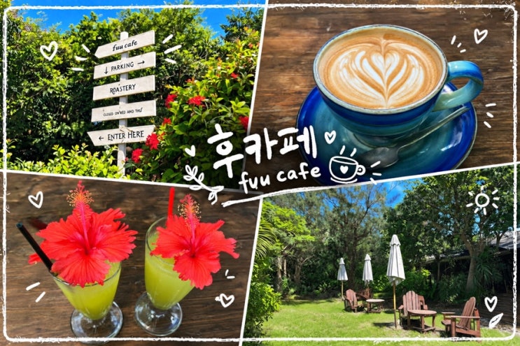 오키나와 북부여행 | 세소코섬   세소코비치 근처 동물들과 교감할 ....