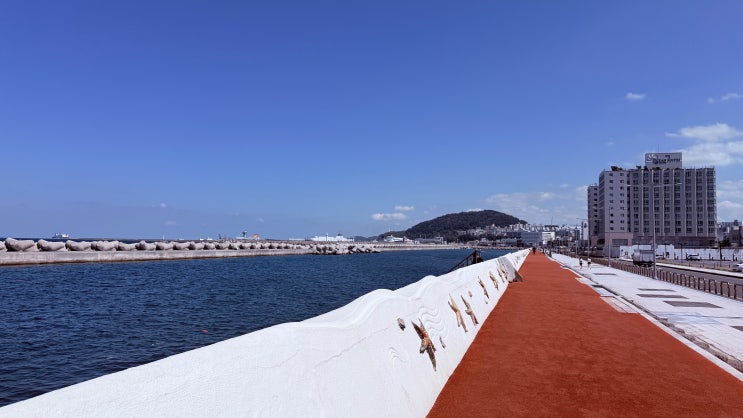 이거 하나로 완전 달라졌어요! 제주 탑동부터 용두암까지 감성 폭발....