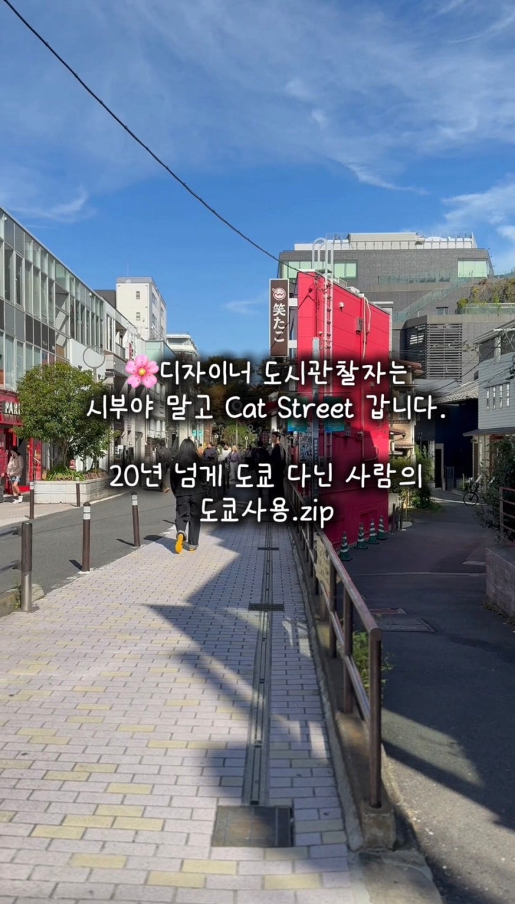 도쿄 캣스트리트｜20년 넘게 다녀도 제가 시부야에서 이 길로 빠지....