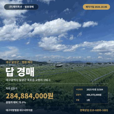논 달성군 옥포읍 교항리 농지 경매, 매각제외 철골 하우스와 농취증 확인 2025타경31584 썸네일