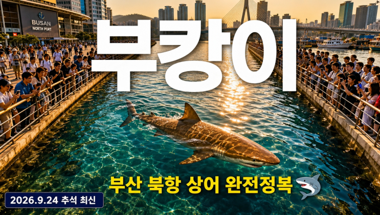 부캉이뜻·위치·종(무태상어) 총정리 | 부산 상어 나무위키·생닭 논란·게임까지