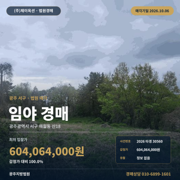 광주 서구 매월동 산지경매 김치박물관 인근 토지 416평 매각기일 10월 6일 2026타경30560 썸네일