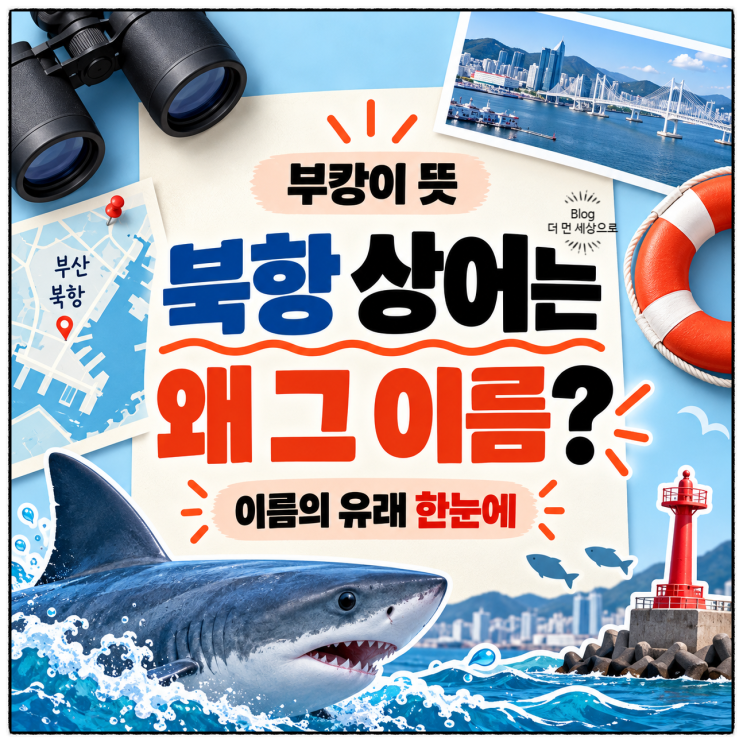 부캉이뜻, 부산 북항 상어 이름은 왜 붙었을까?