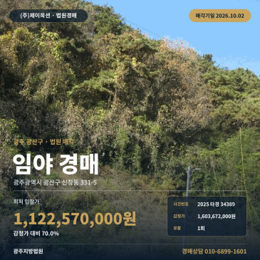 광주 광산구 신창동 임야경매, 광주보건대학교 인근 산지 2025타경34389 썸네일