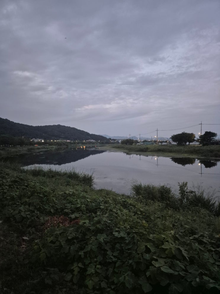 녹산고향동산 강서구차박 범방동가볼만한곳 범방동캠핑 강서구가....