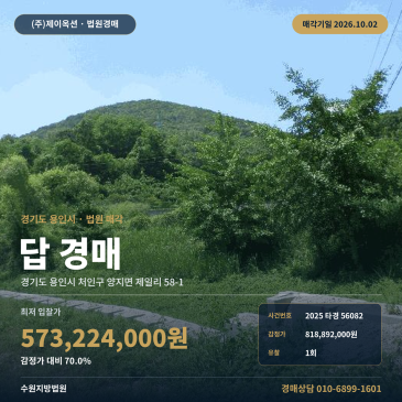 용인시 처인구 양지면 농사땅경매 제일초 북측 토지 960평 2025타경56082 썸네일
