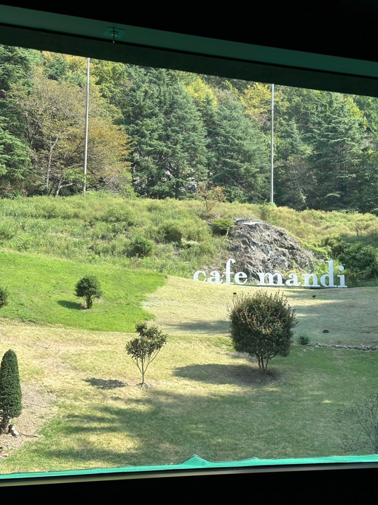 부산 여행에서 가볼만한 부산 카페 만디 정보 및 후기(위치, 메뉴, 내부) : 네이버 블로그
