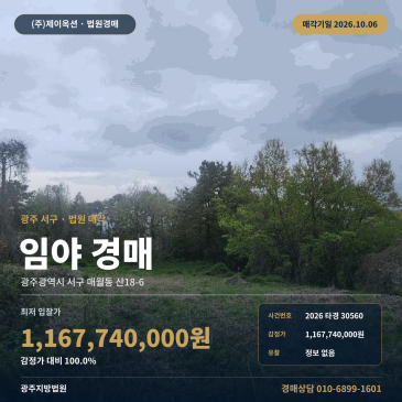 매월동 임야경매 광주 서구 김치박물관 인근 토지 804평 산지 2026타경30560 썸네일