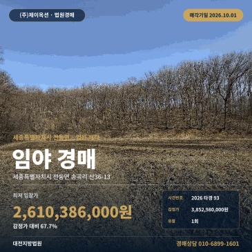 세종시 전동면 송곡리 산지경매 능골마을 인근 임야 토지 2026타경93 썸네일