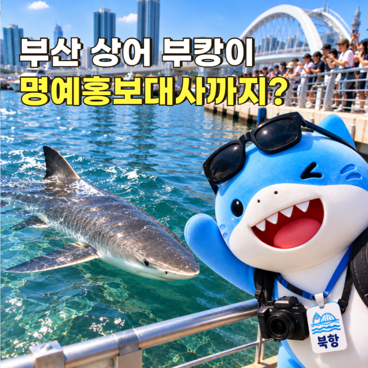 부산 상어부캉이뭐길래? 지자체도 홍보, 명당자리·출몰 위치 총정리