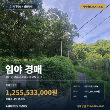 분당구 분당동 토지 경매 인근 차량 진출입 완경사 임야 2025타경52566 썸네일