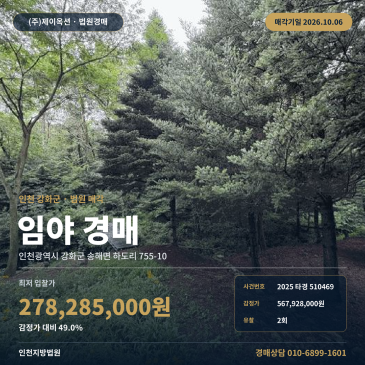 산지 인천 강화군 송해면 하도리 임야 경매, 맹지 조건과 일괄매각 2025타경510469 썸네일