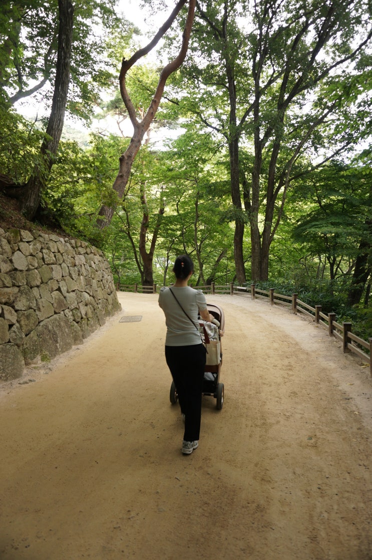 경주 석굴암 가는 길, 아기 유모차와 함께 본존불 관람 후기