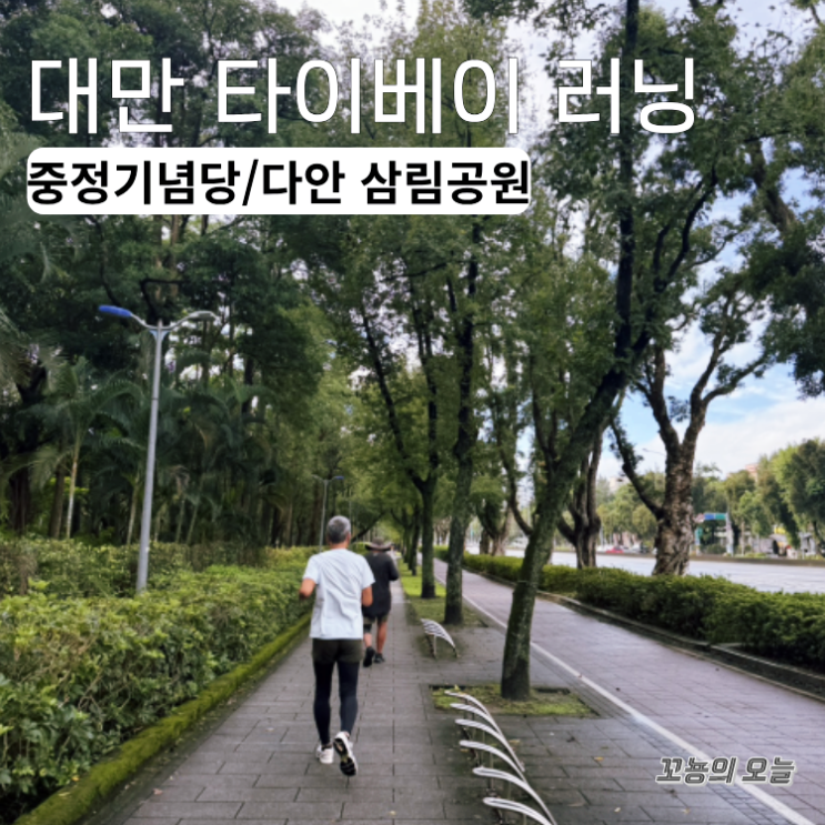 대만 타이베이 러닝코스 중정기념당,다안삼림공원 초보자 후기