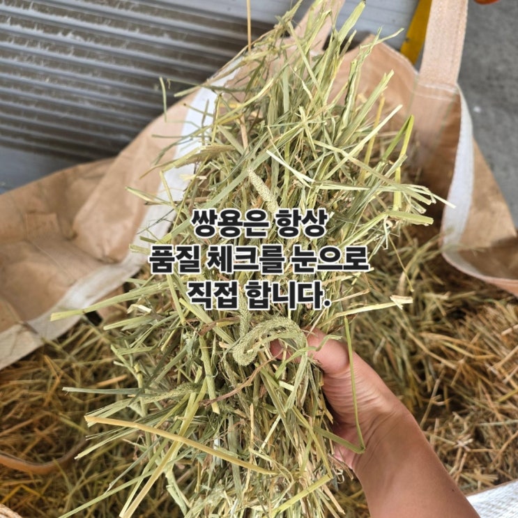 쌍용에프엔씨, 수입건초 품질 직접 확인하기 썸네일