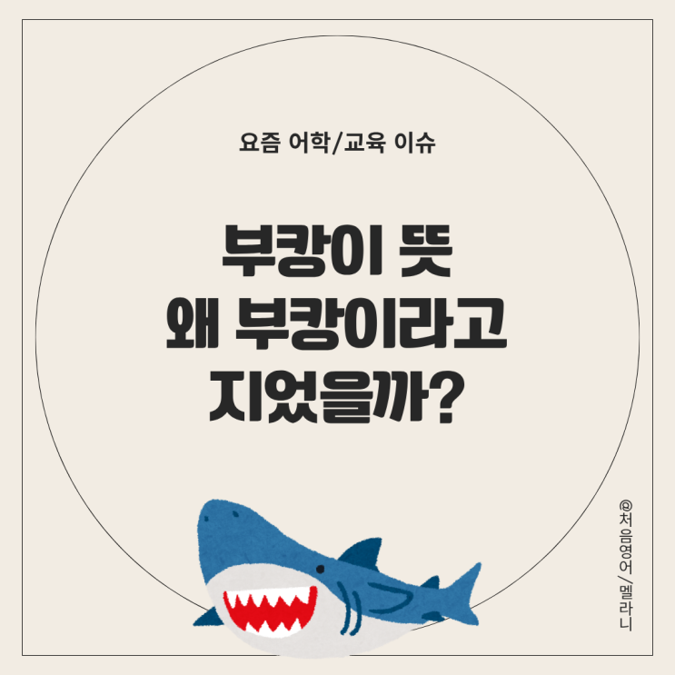 추석에부캉이보러 10만명이 몰렸다!부캉이뜻, 언제 바다로 보내나?
