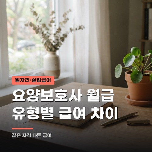 요양보호사 월급, 근무 유형 3가지로 달라지는 급여 구조 : 네이버 블로그
