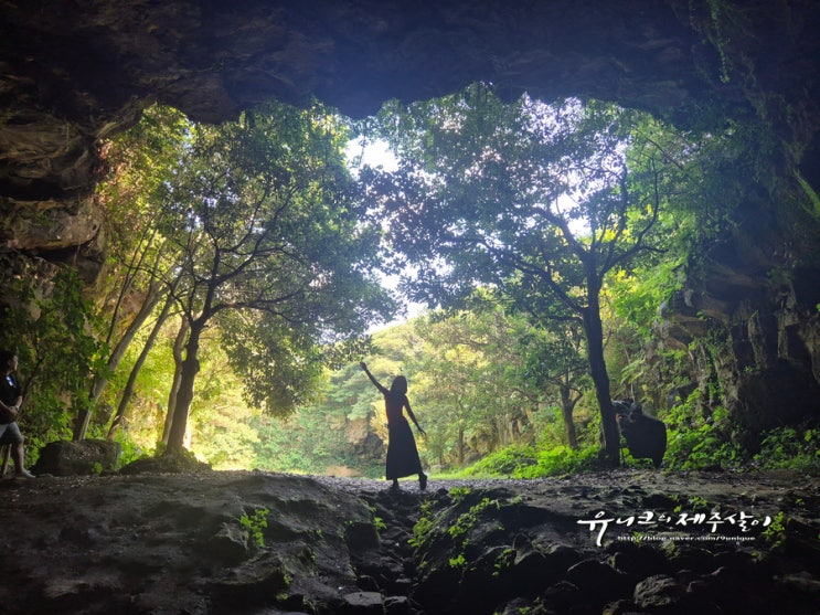 제주 녹차밭 오늘은녹차한잔 제주도 성읍녹차동굴