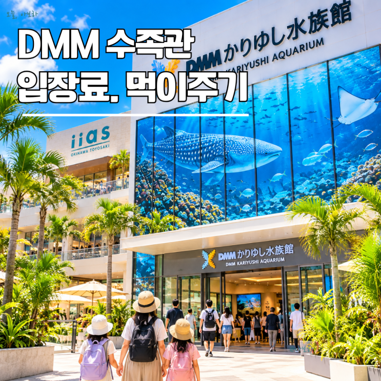 오키나와 DMM 카리유시 수족관 입장료, 아이와 먹이주기 체험까지