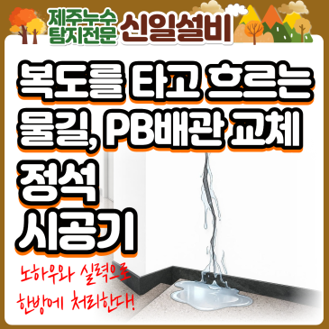 제주시도남동 빌라 복도 벽을 타고 번진 물길, 제주누수탐지전문 부녀팀이 알려주는 배관의 정석 복구기!