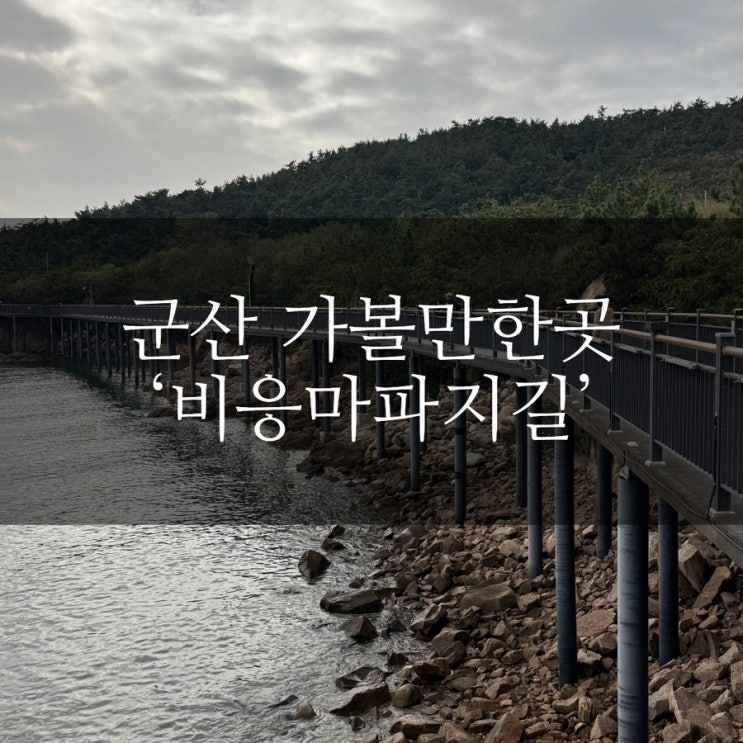 군산 가볼만한 곳 비응마파지길 데이트 산책하기 좋은 곳