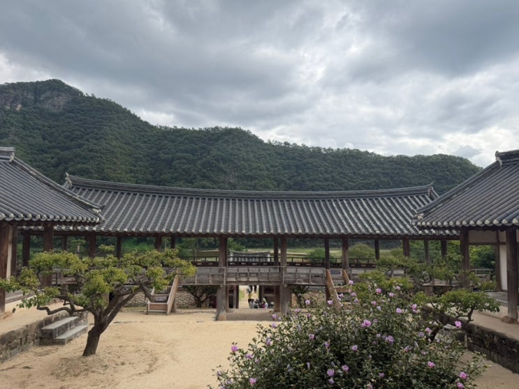 국내 가을여행 안동 유네스코 세계유산 병산서원,  주차정보·운영....