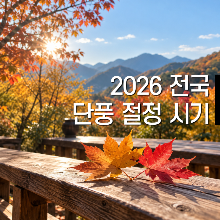 2026 전국 단풍 절정 시기, 올해 설악산·내장산·화담숲 단풍은 언제? : 네이버 블로그