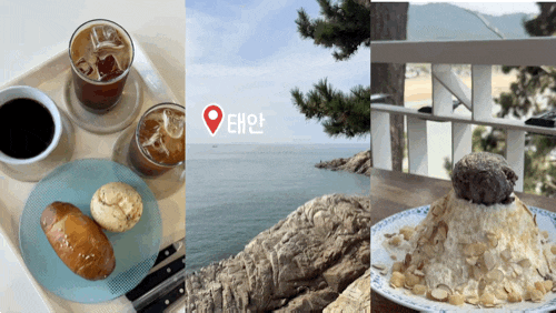 당일치기 태안 : 썬셋클리프, 뭍닭섬탐방로, 카페 서리실